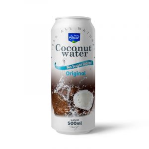 Coconut Water Original 500ml Can