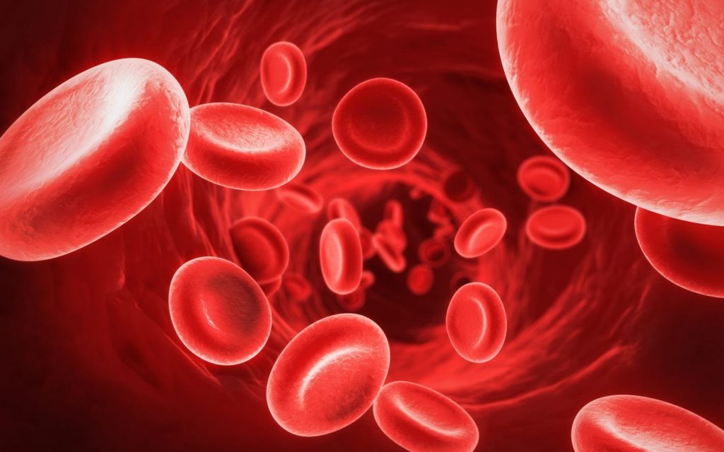 blood circulation illustrate
