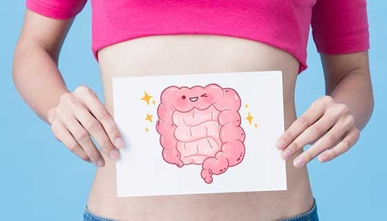 Digestive health illustrate