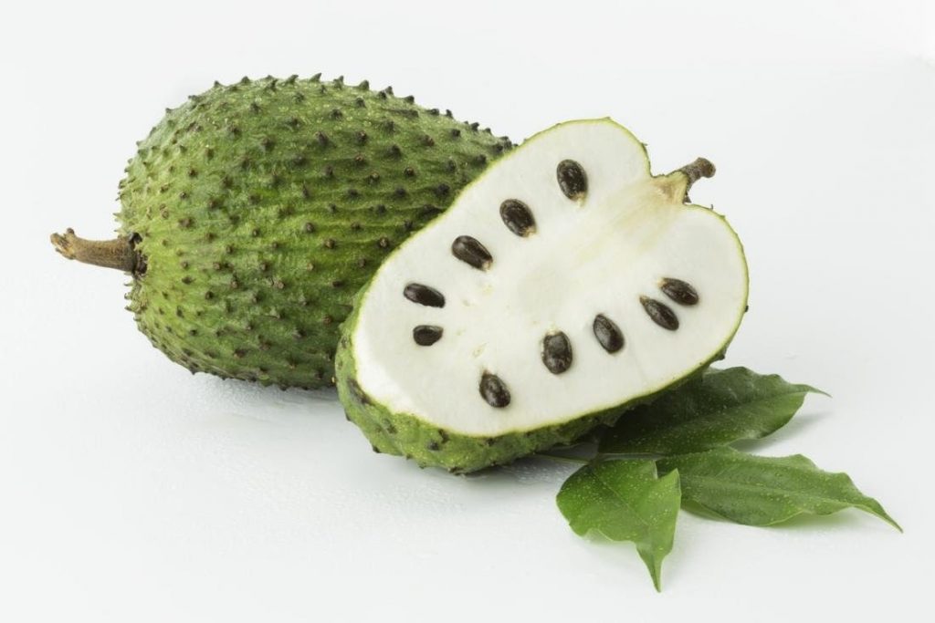 soursop feature