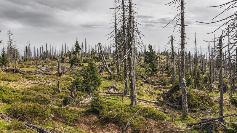 Climate change and nature disaster lead to falling harvest and field losses