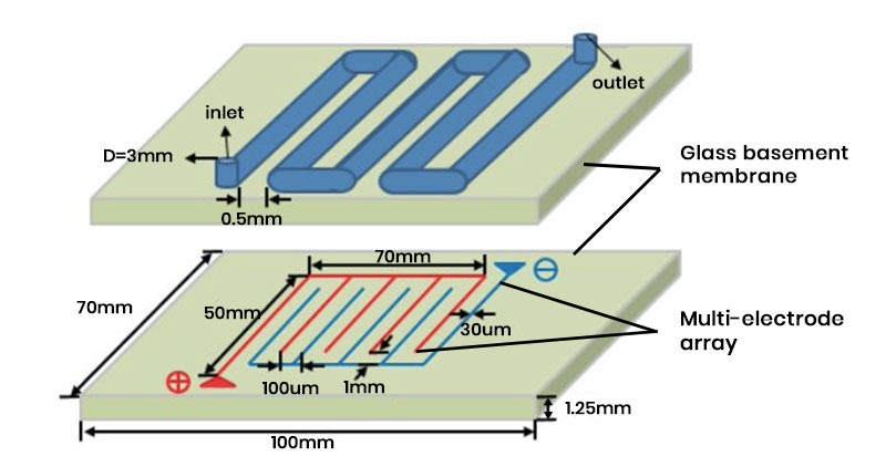 Schematic of a microchip with the detailed topology parameters.