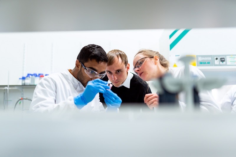 Synthetic preservatives in the beverage industry