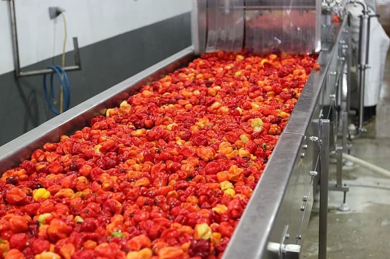 Cold pasteurization processing for food products