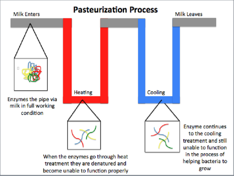 Why HTST pasteurization is the most common method in beverage production?