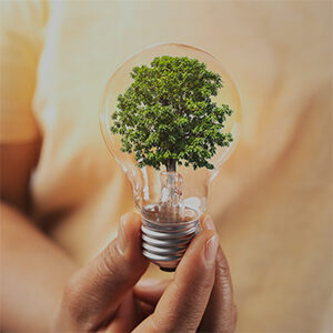Adaptability