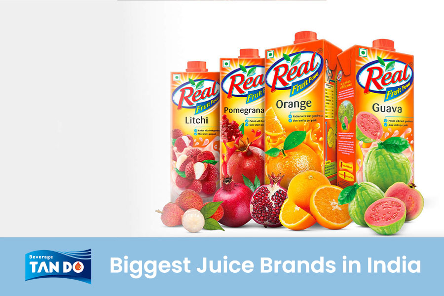 Top 14 biggest juice brands India - real