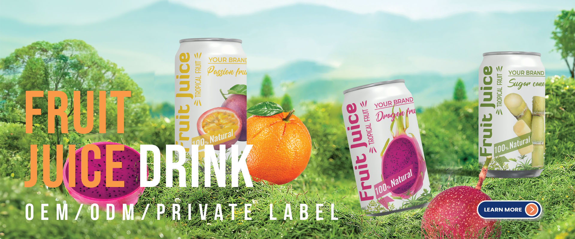 banner juice Tan Do Fruit Juice Beverage Manufacturer
