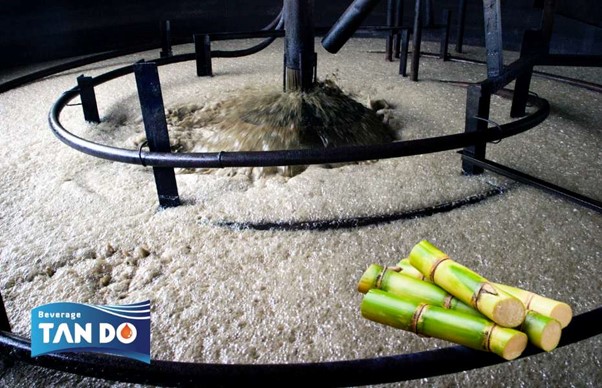 Fermented Cane Sugar: Process, Uses, and Beverages
