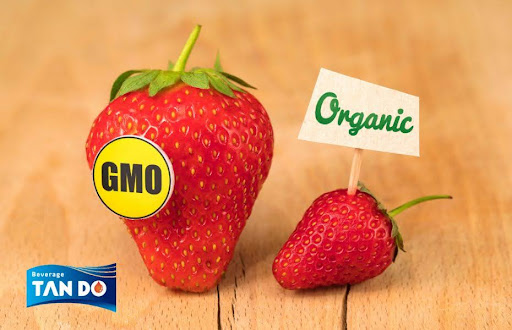 Non-GMO-Products-1