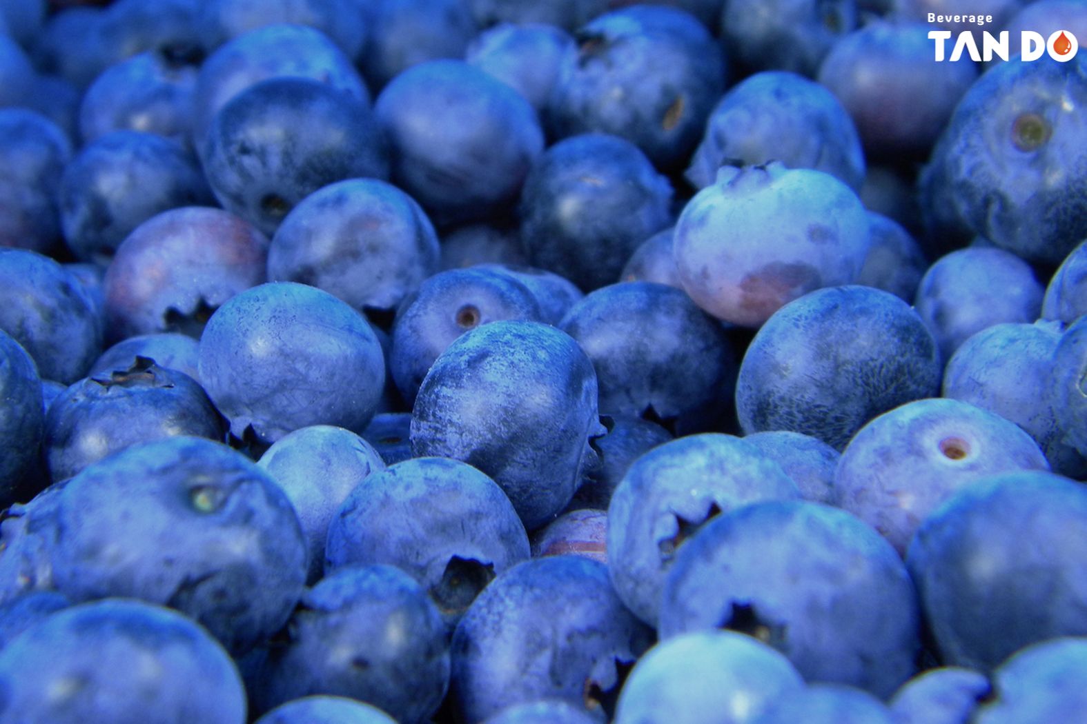 Blueberry Juice Benefits: 6 Surprising Facts You May Not Know