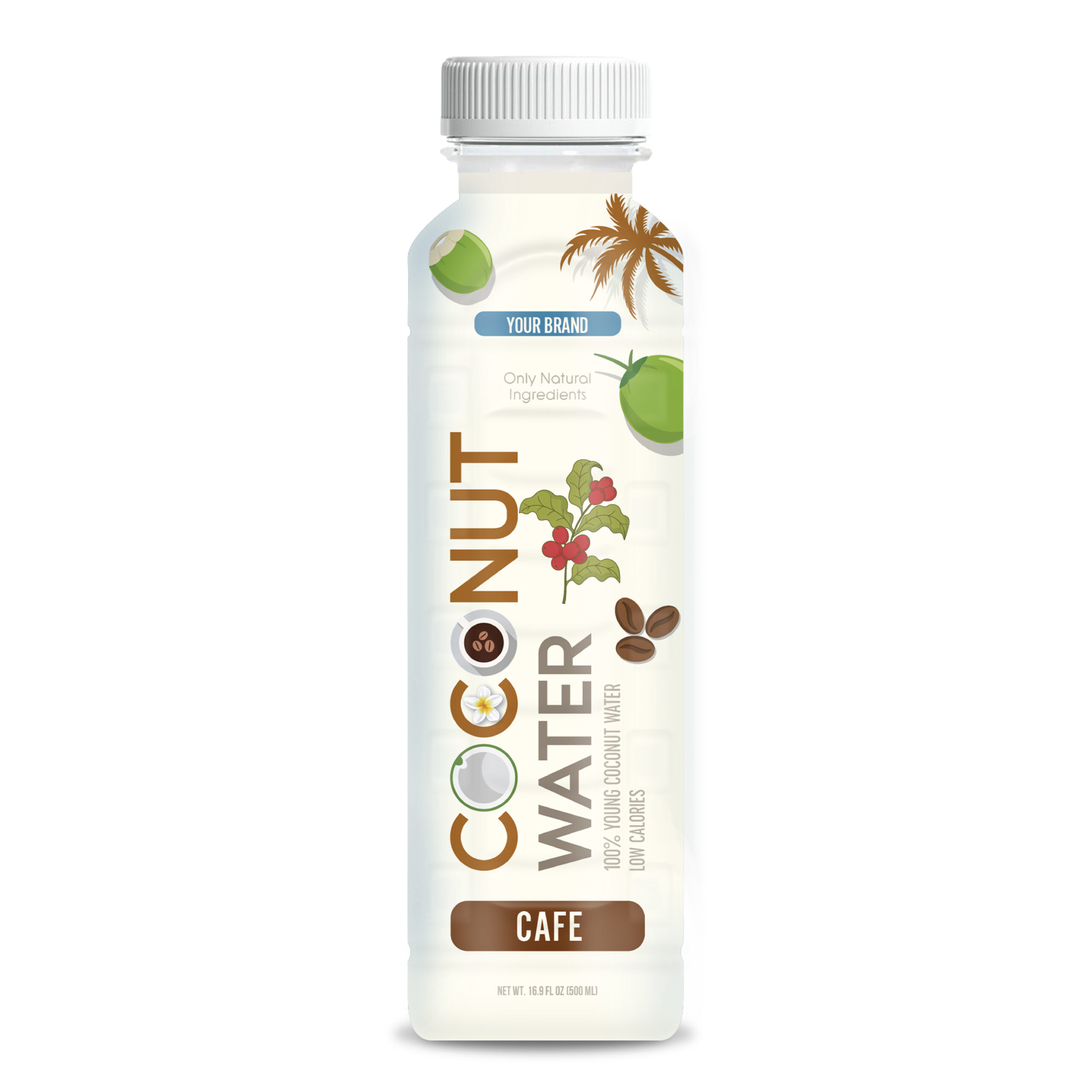 Coconut Water Cafe 500ml PET Bottle 38 Private Label