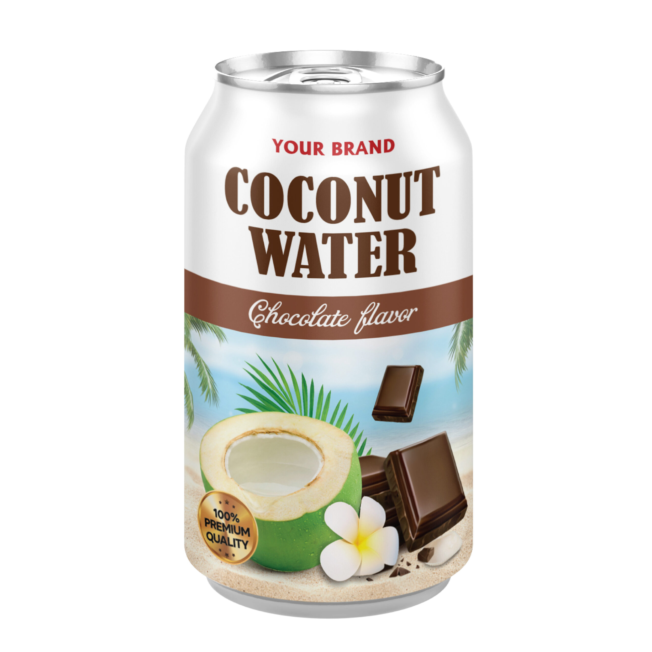 Coconut Water Chocolate 330ml Can Private Label