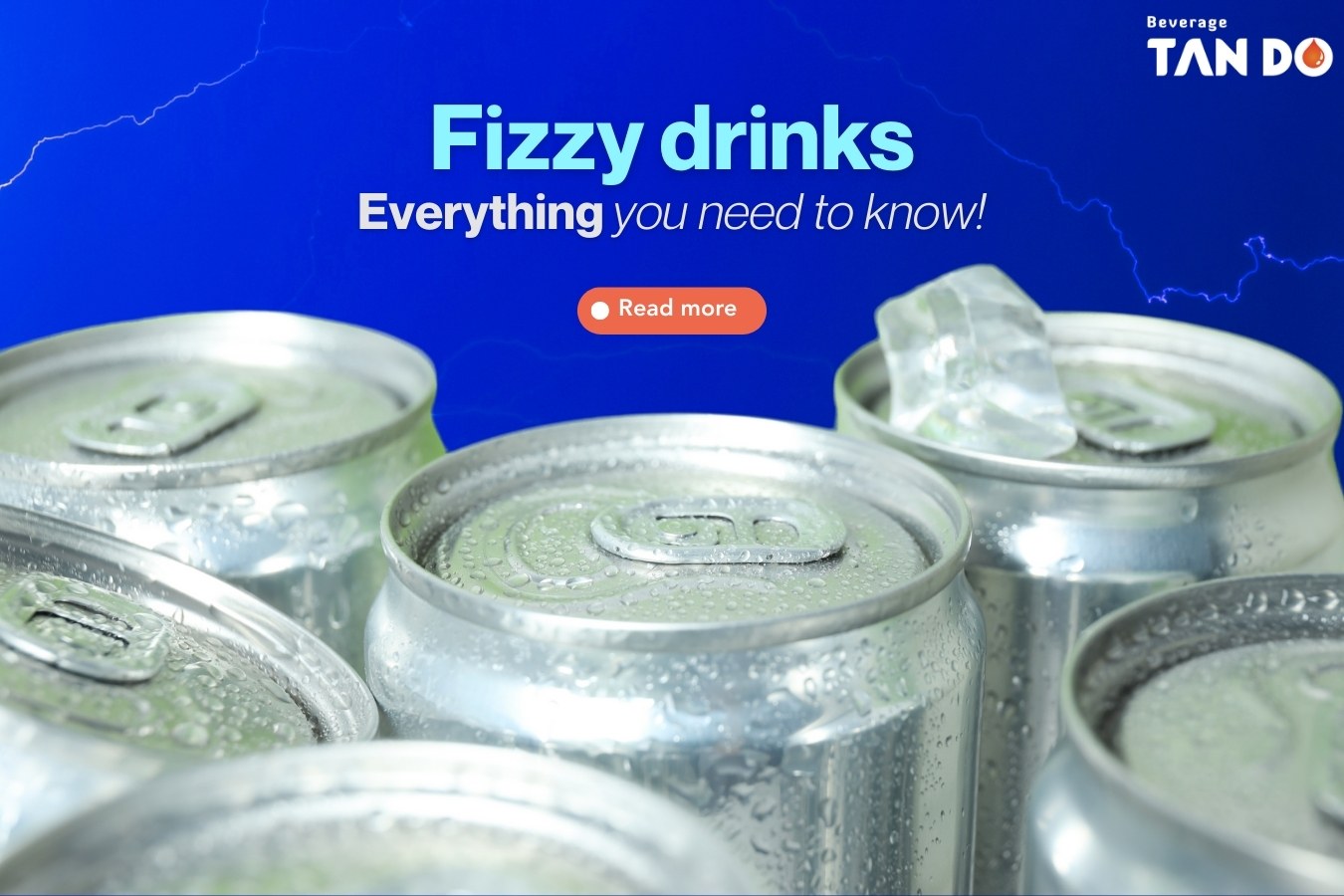 fizzy drinks evevything you need to know