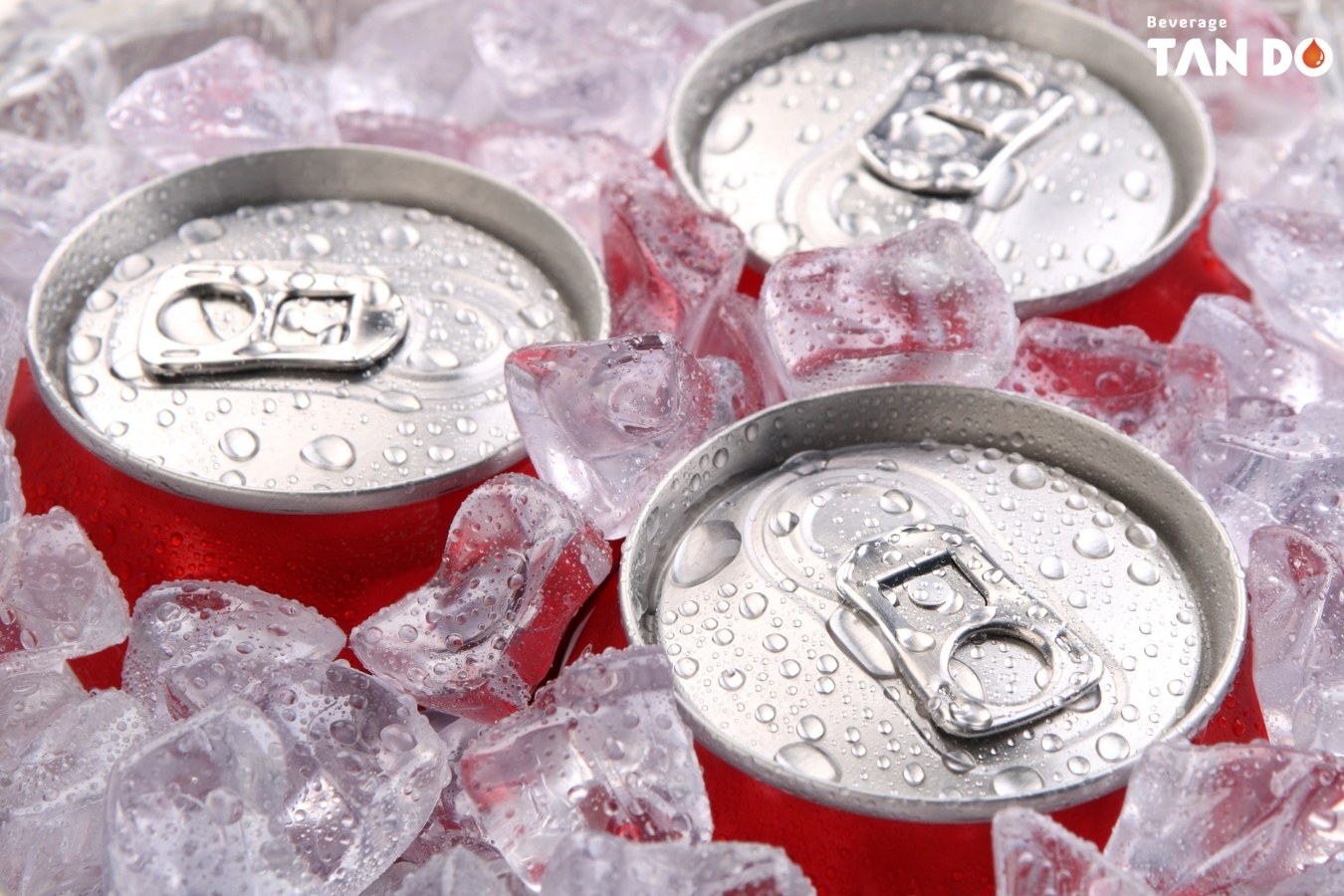 The chemistry behind the fizz