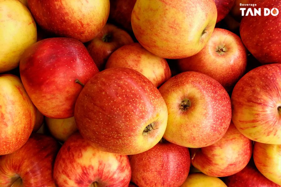Sustainability and Sourcing Considerations