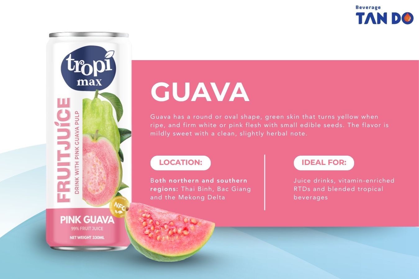 Vietnam Guava Fruit
