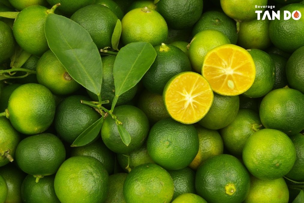 what are calamansi