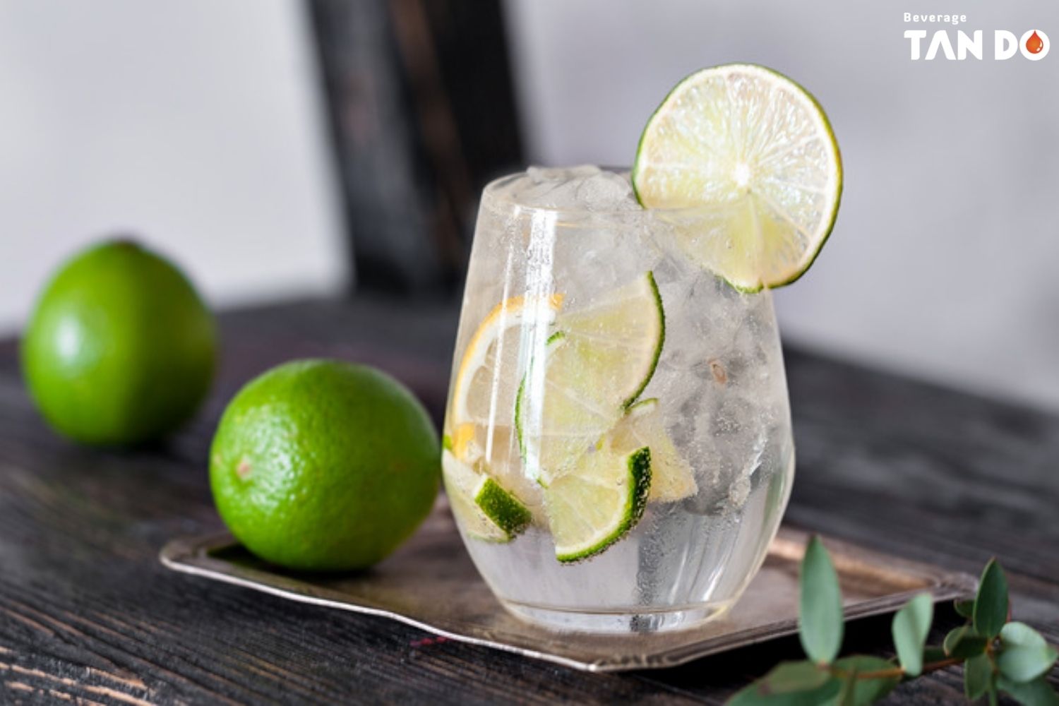 What is Tonic Water